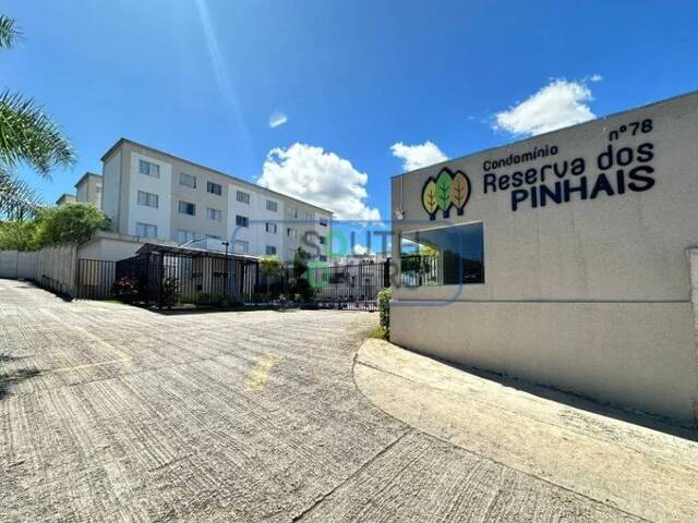 #590 - Apartamento para Venda em São José dos Pinhais - PR
